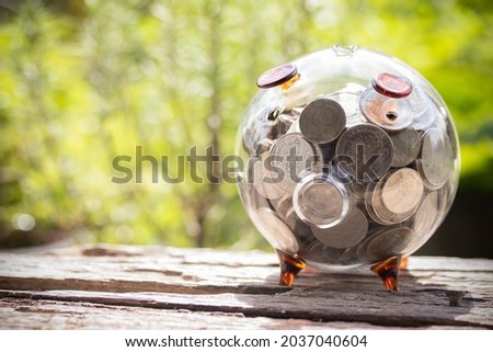 Clear glass pig piggy bank with silver coin on the back of nature