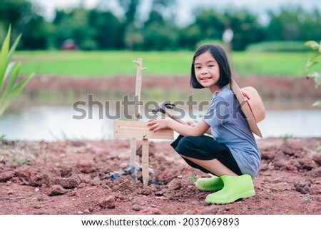 Kids holding wood of tree label on soil in organic garden farm, cute girl sitting name label of tree on blue sky background, happy Asian child working in garden outdoor of agriculture in rural  