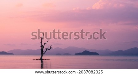 Scenic view of sea with sunset orange dusk sky at peaceful bay with lonely tree in the middle of water and layer islands. Koh Mak Island, Trat, Thailand. Minimal panorama background with copy space. Royalty-Free Stock Photo #2037082325