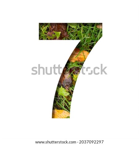 Early autumn font. Digit seven, 7 cut out of paper on a background of green grass with yellow autumn leaves of trees, early autumn. Decorative nature alphabet, font collection.