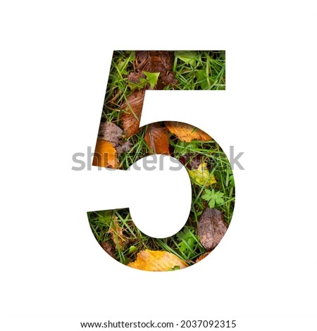 Early autumn font. Digit five, 5 cut out of paper on a background of green grass with yellow autumn leaves of trees, early autumn. Decorative nature alphabet, font collection.