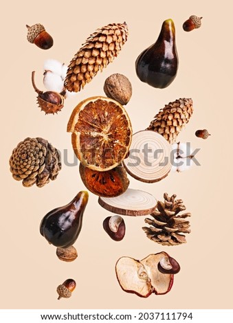 Autumn fruits and decorations thrown in the air, flying and levitating against pastel beige background. Creative fall concept. Autumn sale, organic market, harvest festival or thanksgiving day idea.