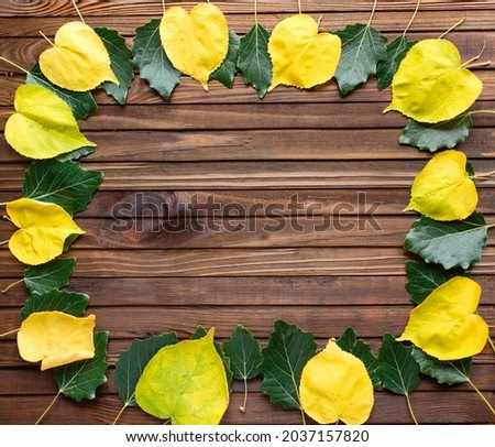 Yellow and green leaves on a wooden background. Autumn background, top view.	