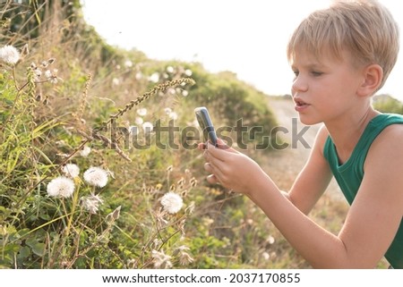 The child takes pictures on a mobile phone. The girl is interested in biology. The child has found a cobweb and a spider and is taking close-ups. Summer beautiful painting