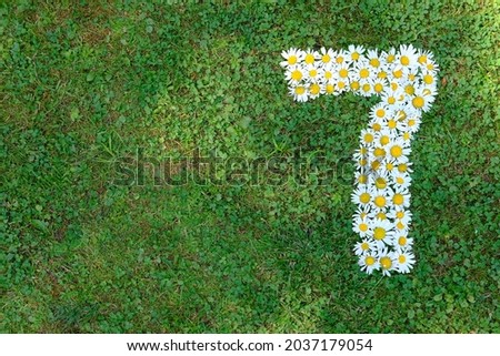 Number 7 lined with daisies on green grass, top view