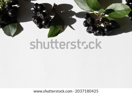 Border Design Background with Fall Berries and Copy Space.