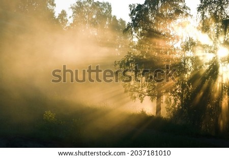 Celestial beauty is inexpressible in words. Rays of morning sun break through branches of trees and loom in waves of fog. Such rays gave to idea of divine crown (aureole, seven rays of divine light) Royalty-Free Stock Photo #2037181010