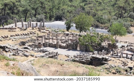 Ruins of the ancient city Labraunda located in present Mugla, Turkey