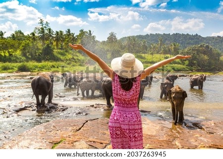 Woman tourist  looking at Herd of elephants at the Elephant Orphanage in Sri Lanka Royalty-Free Stock Photo #2037263945