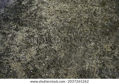 An overhead shot of a dark gray ground surface with spots of brown soil
