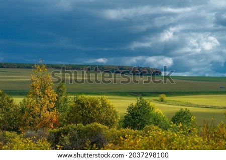 Autumn landscape photo. Flat flora of Europe. Meadows, ravines, thickets, open deciduous or mixed forest. Meadows in September