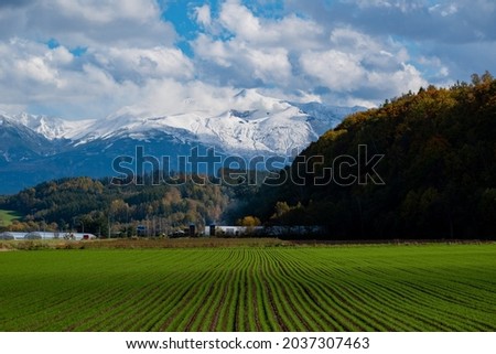 Snow-capped mountains and green wheat field in autumn
