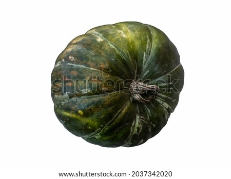 realistic pumpkin isolated on white background close up, halloween symbol