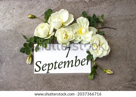 September 7th. Day 7 of month, Calendar date. White roses border on pastel grey background with calendar date. Autumn month, day of the year concept