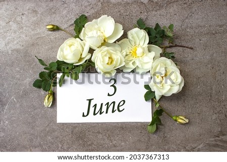 June 3rd. Day 3 of month, Calendar date. White roses border on pastel grey background with calendar date. Summer month, day of the year concept