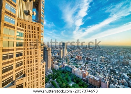 Aerial view of modern skyscrapers of Shinjuku on a spring sunset, Tokyo