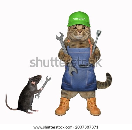 A beige cat auto mechanic in a green cat is holding car wrenches. White background. Isolated.