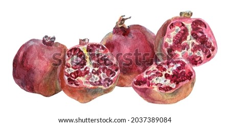Pomegranate watercolor clip art. Garnets with seeds