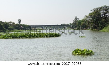 River views of the tha jean river (tha jean river) with water Hyacinth. 