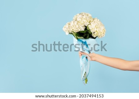 Hand holds a bouquet of beautiful tender white hydrangea on light blue background Flowers as gift for teacher's day, mother's day, international women's day or Valentine's day. Banner with copy space.