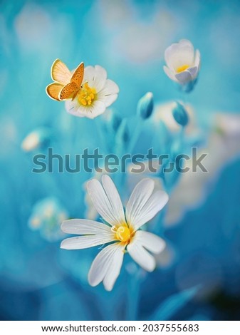 Surprisingly beautiful soft elegant white flowers with buds and yellow butterfly on blue background, macro. Exquisite graceful easy airy magic artistic image nature.
