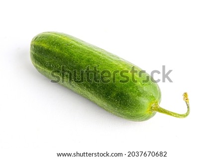 Smooth little cucumber on a white background