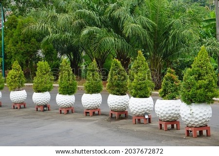 
White plant pots arranged neatly lined up on the roadside of a real estate. With the plant pots, the streets look beautiful and cool.