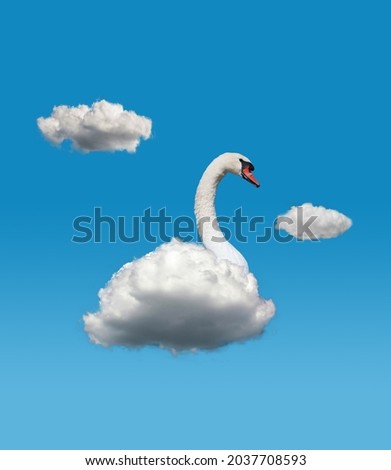 Contemporary artwork. Composition with white beautiful swan with fluffy cloud instead body isolated over blue sky background. Tenderness. Concept of creativity, imagination, inspiration, aspiration