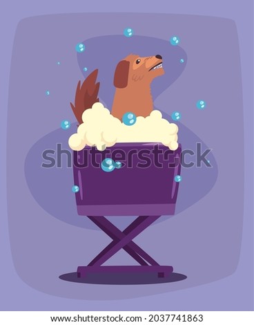 brown dog bathing character scene