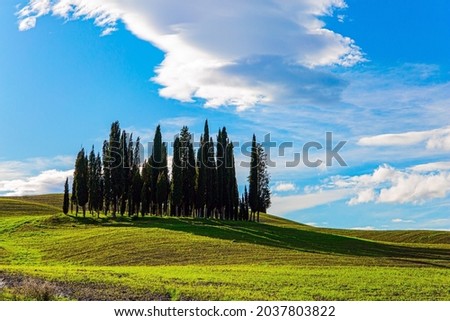 Bizarre cumulus clouds lit by the sunset. Italy. The magical beauty of the province of Tuscany.  Magnificent cypress alley. Sunny day at the beginning of winter. 