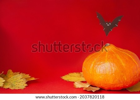 Pumpkin on a red background with bats for Halloween