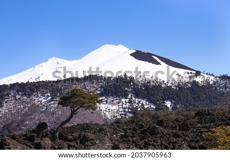 Llaima volcano in the conguillio national park 