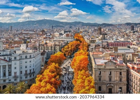 Barcelona Spain, high angle view city skyline at La Rambla street with autumn foliage season