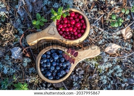 Wild berries in a wooden bowl. Northern berry: lingonberry, blueberry, cranberry. Royalty-Free Stock Photo #2037995867