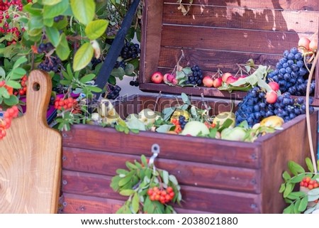 Fruit in a wooden chest. Still life.