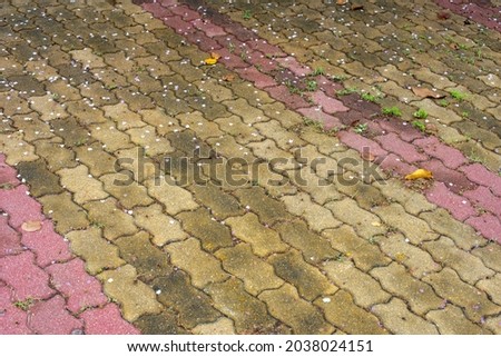 Purple flowers(Lagerstroemia calyculata Kurz) fall on Worm block, worm bricks after rain.