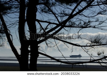 Framed by silhouette of tree trunks and branches on the shore as a foreground a freighter ship is visible in the distance. 
