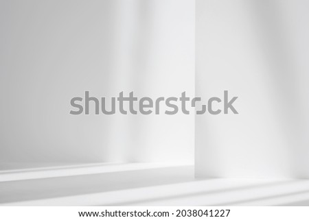Abstract white studio background for product presentation. Empty gray room with shadows of window. Display product with blurred backdrop. Royalty-Free Stock Photo #2038041227