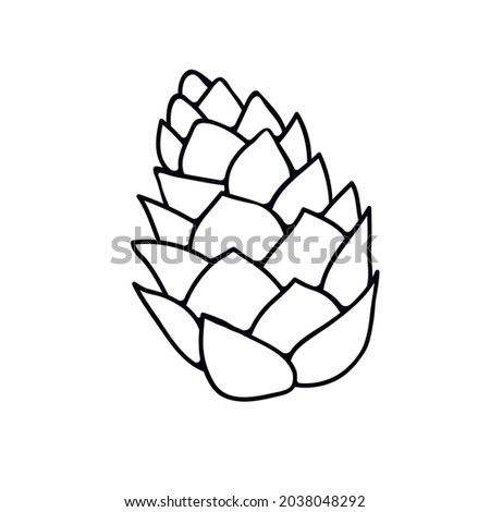 Vector pine cone in doodle style. Hand drawn outline illustration, clipart, design element isolated