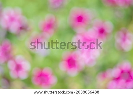 A closeup of blurred pink flowers with copy space - perfect for backgrounds
