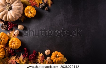 Autumn composition. Pumpkin, cotton flowers and autumn leaves on dark stone background. Flat lay, top view with copy space