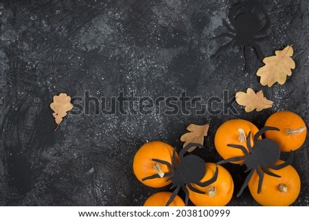 Festive autumn decor of pumpkins on a black stone background. Thanksgiving or Halloween day concept. Flat lay autumn composition with copy space
