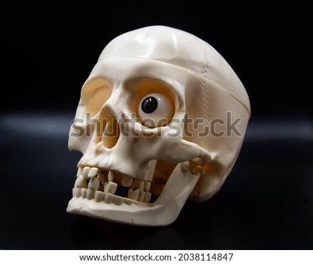 image on a black background of a sideways white skull with one eye and missing teeth