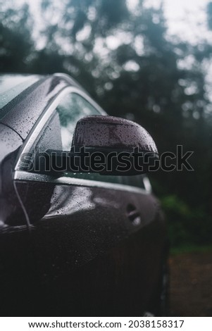 A close up of a black car door and mirror wet with raining drops with blurred garden in background