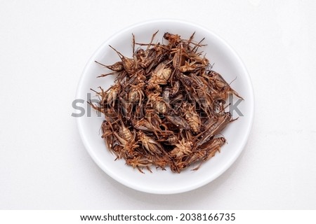 A heap of brown edible crickets in a white ceramic saucer on a white background Royalty-Free Stock Photo #2038166735