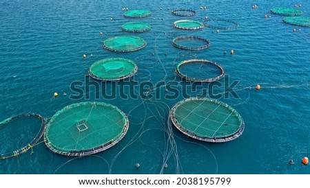 Aerial drone photo of latest technology auto feeding fish farming  - breeding unit of sea bass and sea bream in huge round cages located in calm Mediterranean sea