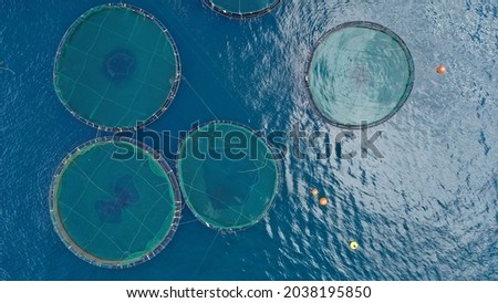 Aerial drone photo of latest technology auto feeding fish farming  - breeding unit of sea bass and sea bream in huge round cages located in calm Mediterranean sea