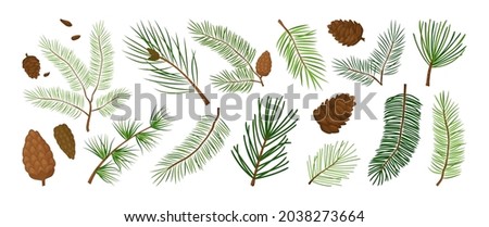 Christmas pine branch and cone, evergreen tree, fir, cedar twig vector icon, winter plants, New Year wood, holiday decoration. Hand drawn illustration Royalty-Free Stock Photo #2038273664