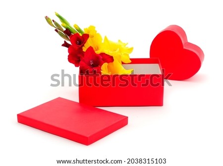 Red gift box and gladiolus flowers isolated on white color background.Blank of congratulatory card.