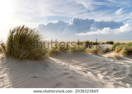 Sand dunes on the north sea coast Royalty-Free Stock Photo #2038323869